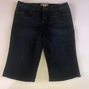 Democray Blue Bermuda shorts